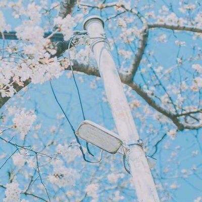 贝莱德CEO描绘中东冲突两种极端结局:油价要么跌至40美元,要么升破150美元